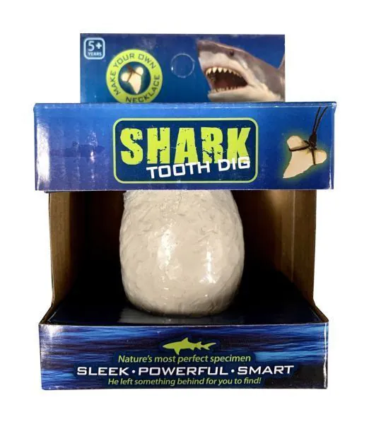 MuzeMerch - Shark Tooth Dig Kit