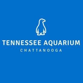 Tennessee Aquarium Adult Penguin Tee