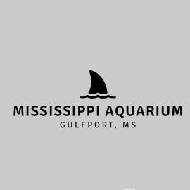 Adult Mississippi Aquarium Simple Shark Tee