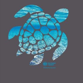 Youth Short Sleeve Tee Turtle - New England Aquarium