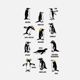 Youth Short Sleeve Tee Penguin Types - New England Aquarium