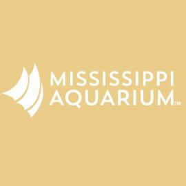 Mississippi Aquarium Embroidered Logo Cap | Mustard