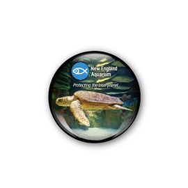 New England Aquarium Sea Turtle Glass Dome Magnet