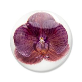 Purple Orchid Paperweight