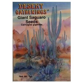 Giant Saguaro Seeds
