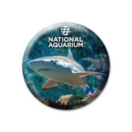 National Aquarium Shark Glass Domed Magnet