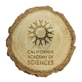 Logo Wood Slice Magnet -  California Academy of Sciences