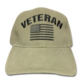 Veteran Flag low Profile Cap