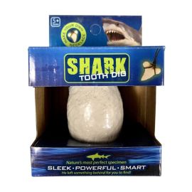 Shark Tooth Dig Egg