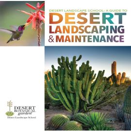 Desert Landscape School: A Guide to Desert Landscaping and Maintenance