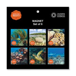California Academy of Sciences Hope for Reefs Magnet Set
