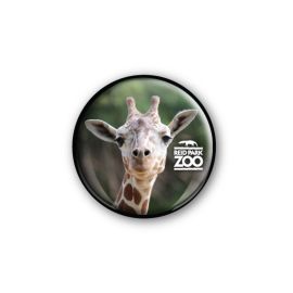 Reid Park Zoo Giraffe Glass Domed Magnet