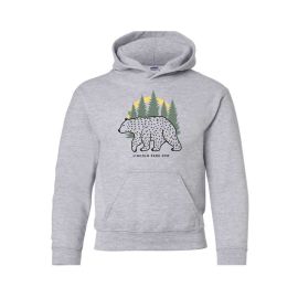 Lincoln Park Zoo Forest Bear Youth Hooded Sweatshirt