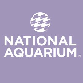 Ladies National Aquarium Logo Tee
