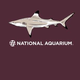 National Aquarium Adult Black Tip Shark Tee