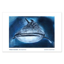 Russell Ronat Whale Shark Exhibit Print - Georgia Aquarium